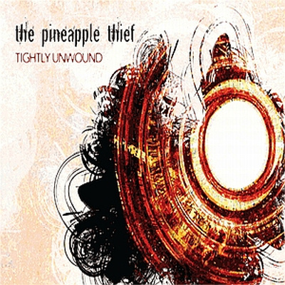 PINEAPPLE THIEF, THE - Tightly Unwound 2LP