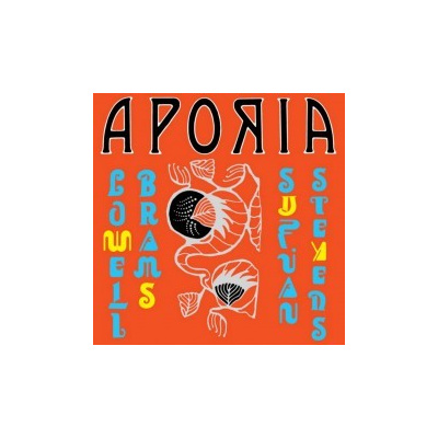 Stevens Sufjan & Lowell Brams - Aporia / Vinyl / Coloured [LP]