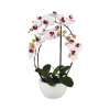 Umělá květina orchidej phalaenopsis 3D-tisk v keramickém květináči 52 cm růžová Real touch