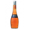 Bols Apricot Brandy 0,7l 24% (holá láhev)