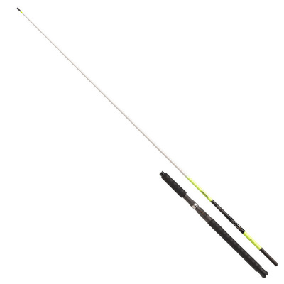  Daiwa Sealine Xtreme Travel Interline, SLXIL 30lbs