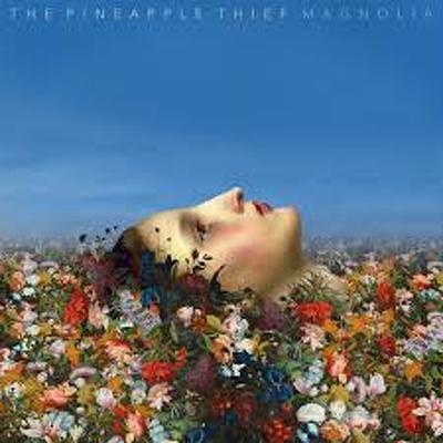 PINEAPPLE THIEF, THE - Magnolia CDG