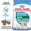 Royal Canin Starter Mother&Babydog Mini 20 kg