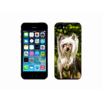 Gelový kryt mmCase na mobil iPhone SE (2016) - čínský chocholatý pes