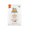 Brit Care Dog Hypoallergenic Junior Large Breed - lamb and rice, 3kg