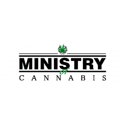 Ministry of Cannabis - Auto Cheese NL 5 ks - semena neobsahují THC