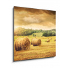 Skleněný obraz 1D - 50 x 50 cm - Field of freshly bales of hay with beautiful sunset Pole čerstvých balíků sena s krásným západem slunce