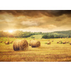 WEBLUX Fototapeta plátno Field of freshly bales of hay with beautiful sunset - 31838189 Pole čerstvých balíků sena s krásným západem slunce, 240 x 174 cm