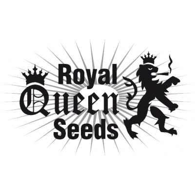 Royal Queen Seeds Special Kush #1 semena neobsahují THC 10 ks