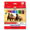 KOH-I-NOOR Trojhranné pastelky Triocolor 3145 - 36ks