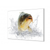 Ochranná deska ryba kapr lysec - 50x50cm / S lepením na zeď