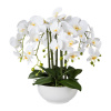 Umělá Orchidej bílá v květináči, 54cm