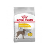 Royal Canin MAXI Dermacomfort 12kg 1ks