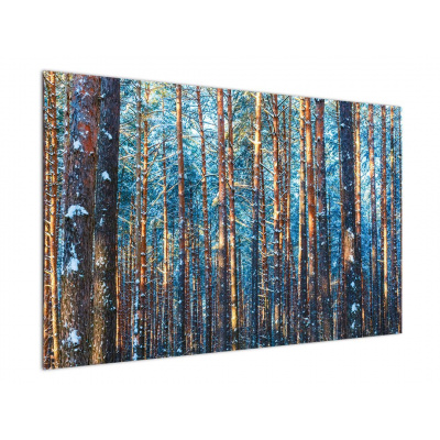 Obraz - Zimní les, jednodílný 120x80 cm