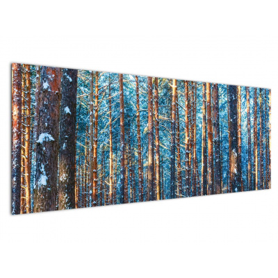 Obraz - Zimní les, jednodílný 145x58 cm