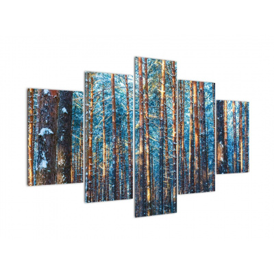 Obraz - Zimní les, pětidílný 150x105 cm