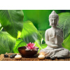 WEBLUX Fototapeta vliesová Buddha in meditation - 68464506 Buddha v meditaci, 100 x 73 cm