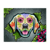 NO-1006555 NORIMPEX 7D Diamantová mozaika - Labrador Catrina