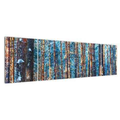 Obraz - Zimní les, třídílný 170x50 cm
