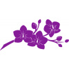 SAMOLEPKA Květina dekor 008 pravá orchidej (14 - fialová) NA AUTO, NÁLEPKA, FÓLIE, POLEP, TUNING, VÝROBA, TISK, ALZA