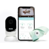 Owlet Smart Sock 3 & Cam Bundle