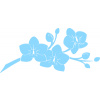 SAMOLEPKA Květina dekor 008 pravá orchidej (03 - světle modrá) NA AUTO, NÁLEPKA, FÓLIE, POLEP, TUNING, VÝROBA, TISK, ALZA