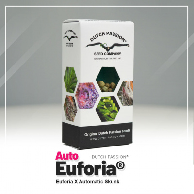 DUTCH PASSION Euforia® AUTO semena neobsahují THC 3 ks