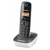 Panasonic KX-TG1611