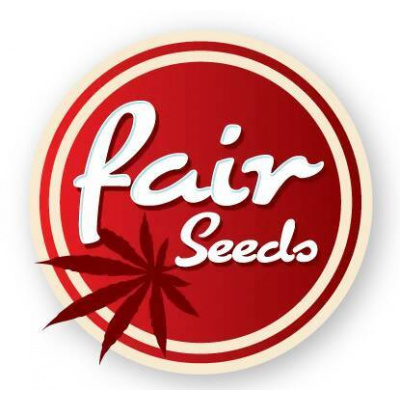 Fair Seeds AK 47 x Northern Light semena neobsahují THC 10ks
