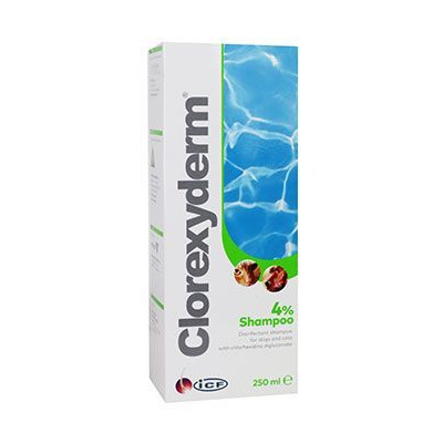Clorexyderm shampoo 4% ICF 250ml
