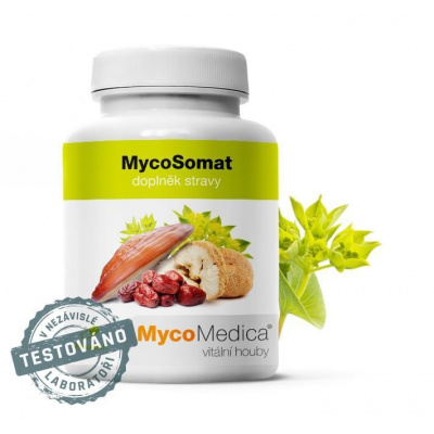 MycoMedica - MycoSomat VG 500 mg 90 kapslí