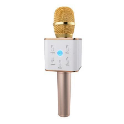 Karaoke mikrofon Eljet Performance zlatý, 5060