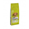 PURINA Dog Chow Adult Lamb&Rice 14 kg