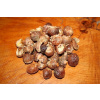 Mýdlové ořechy - vzorek 10g (Testovací vzorek 7 ks ořechů pro 2 praní v pračce)