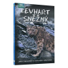 Levhart sněžný (DVD) - BBC