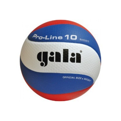 Volejbalový míč Gala PRO-LINE 10 panelů 5581 S