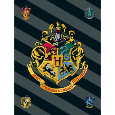 JERRY FABRICS Fleece deka Harry Potter HP067 Polyester, 100/150 cm SDS_ST-120226
