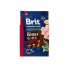 Brit Premium by Nature Senior L+XL 3kg