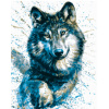 Gaira® Malování podle čísel Vlk M992201