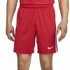 Šortky Nike TUR M NK DF STAD SHORT AW 2024 fv1750-687 Velikost M