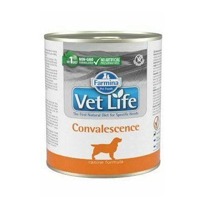 Vet Life Natural DOG konz. Convalescence 300g