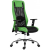 ANTARES židle SANDER zelená