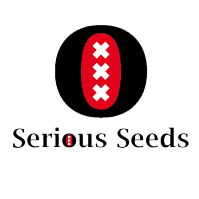 Serious Seeds - Auto AK-47 6 ks - semena neobsahují THC