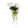 Umělá Orchidej bílá v květináči na zeď, 25cm