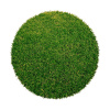 Betap koberce Umělá tráva Botanic kruh - 360x360 (průměr) kruh cm Zelená