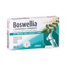 FAVEA Boswellia s chondroitinem a kolagenem 30 tablet