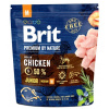 BRIT Premium by Nature Junior M 1kg