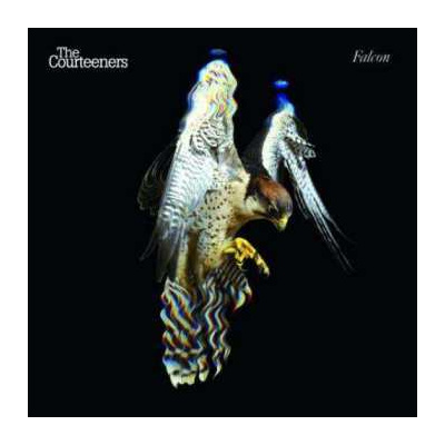 CD The Courteeners: Falcon