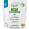 Brit Care Dog Grain-free Adult Large Breed - salmon and potato, 1kg