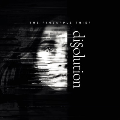 Dissolution (The Pineapple Thief) (Vinyl / 12" Album)
